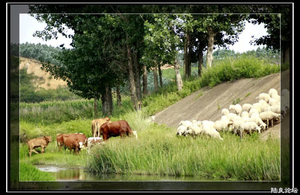 psb (14) - �?�� - �?��.jpg