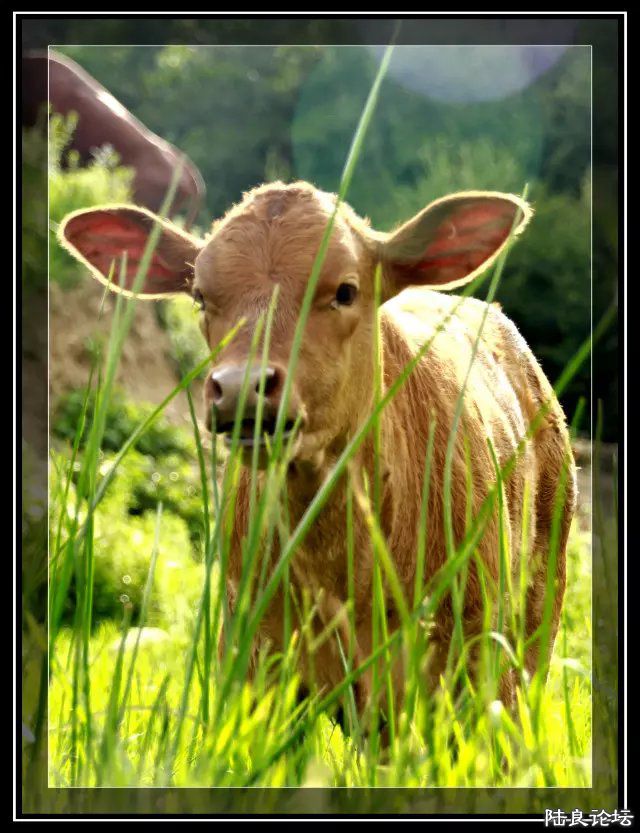 psb (18) - �?�� - �?��.jpg