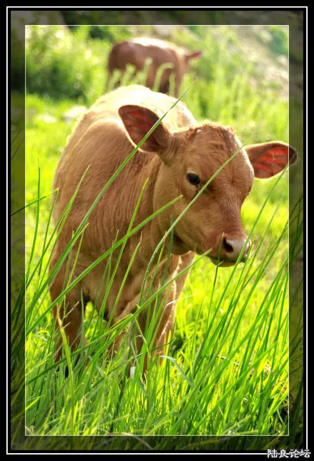 psb (17) - �?�� - �?��.jpg