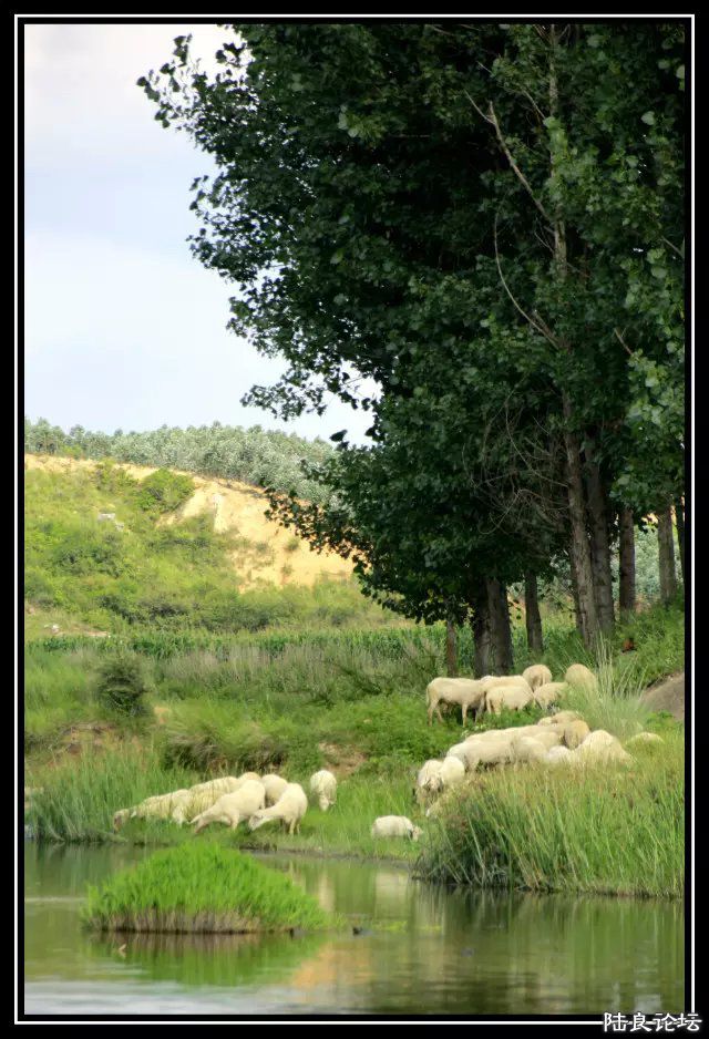 psb (21) - �?��.jpg