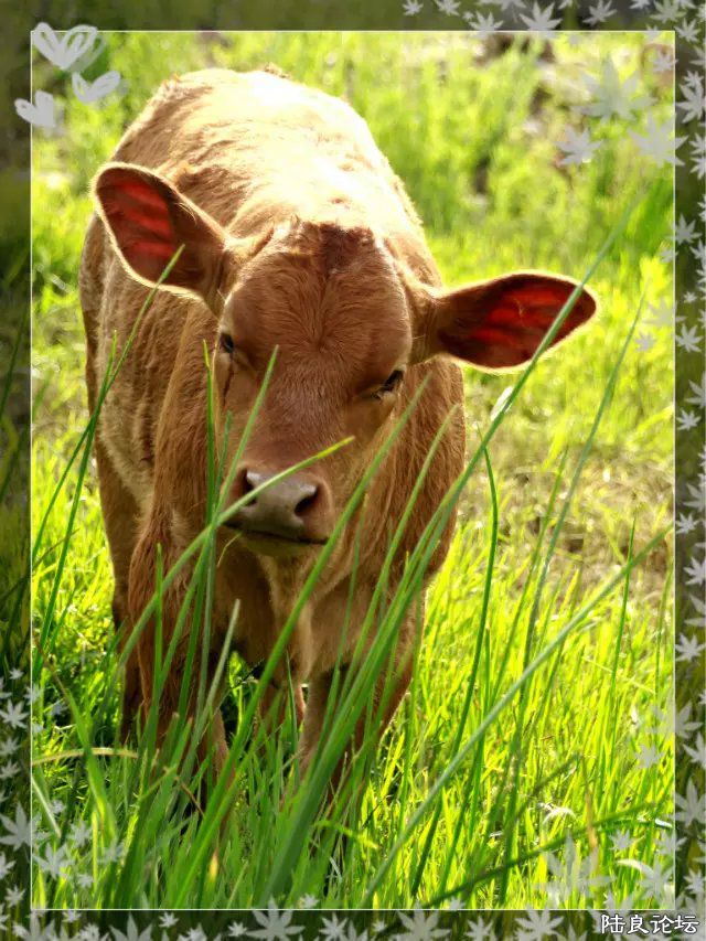 psb (24) - �?��.jpg