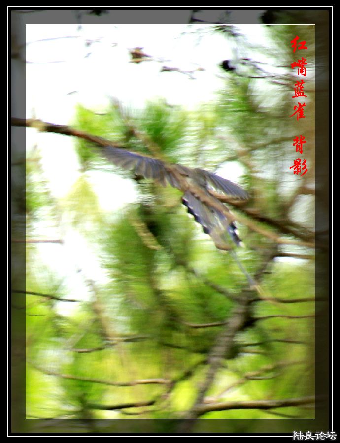 _MG_0020_�?�� - �?��.jpg