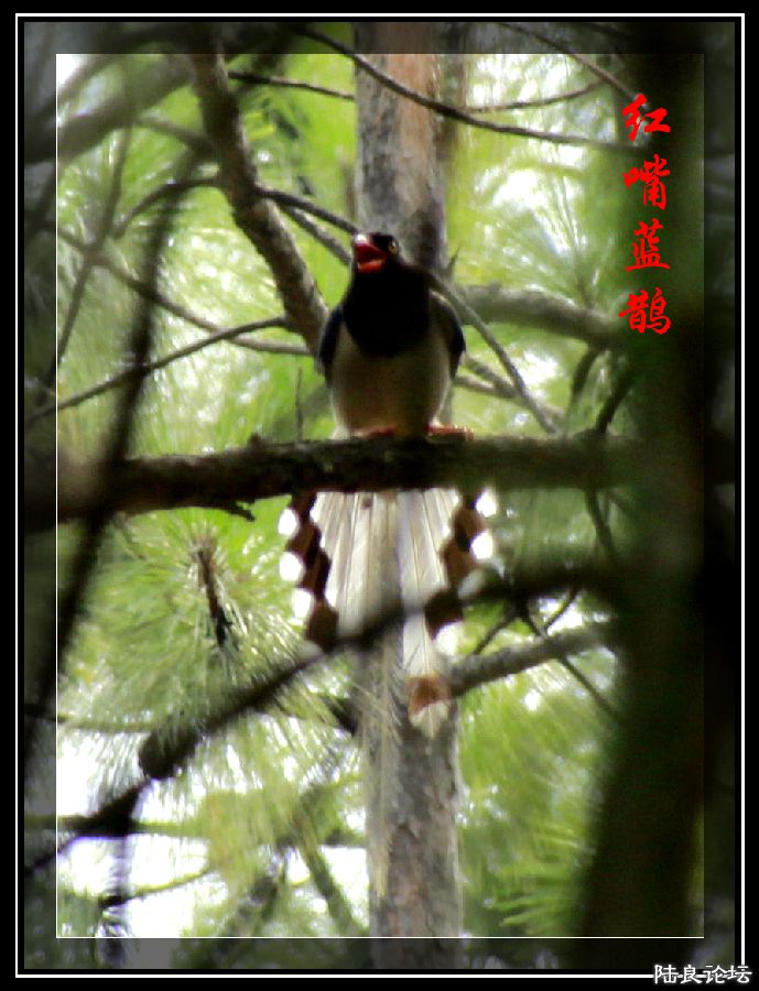 _MG_0030_�?�� - �?��.jpg