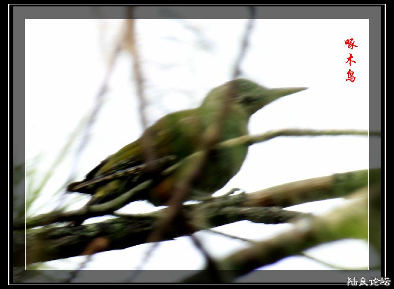 _MG_0034_�?�� - �?��.jpg