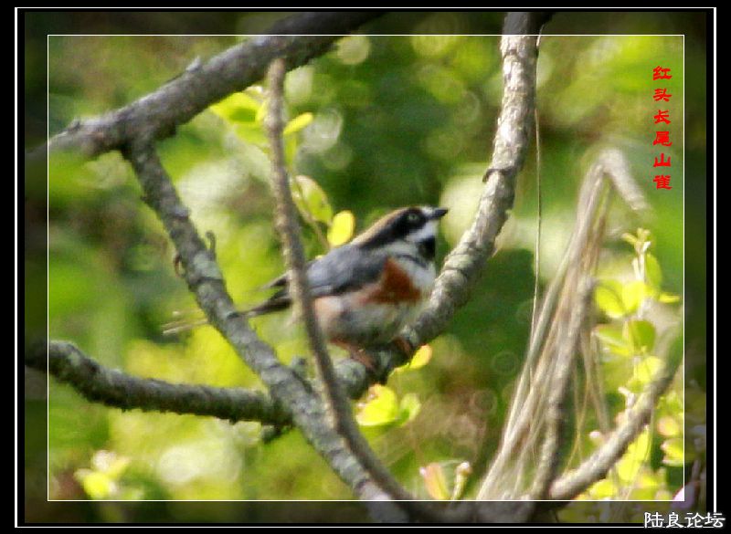 _MG_0043_�?�� - �?��.jpg