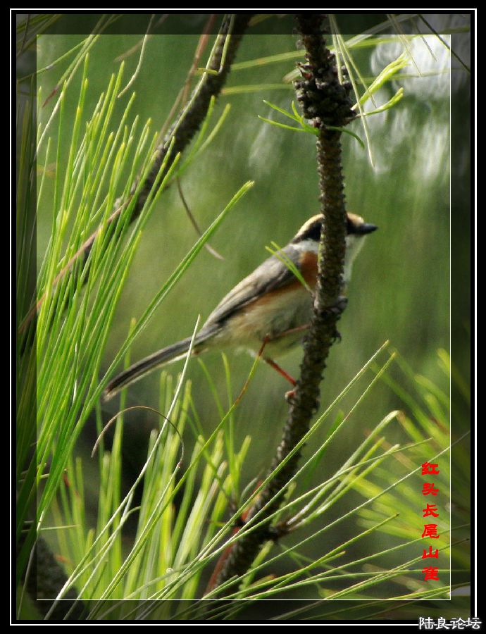 _MG_0044_�?�� - �?��.jpg