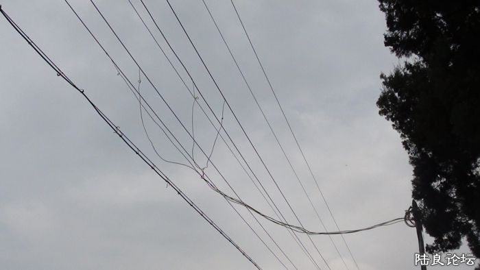 图为偷电现场�