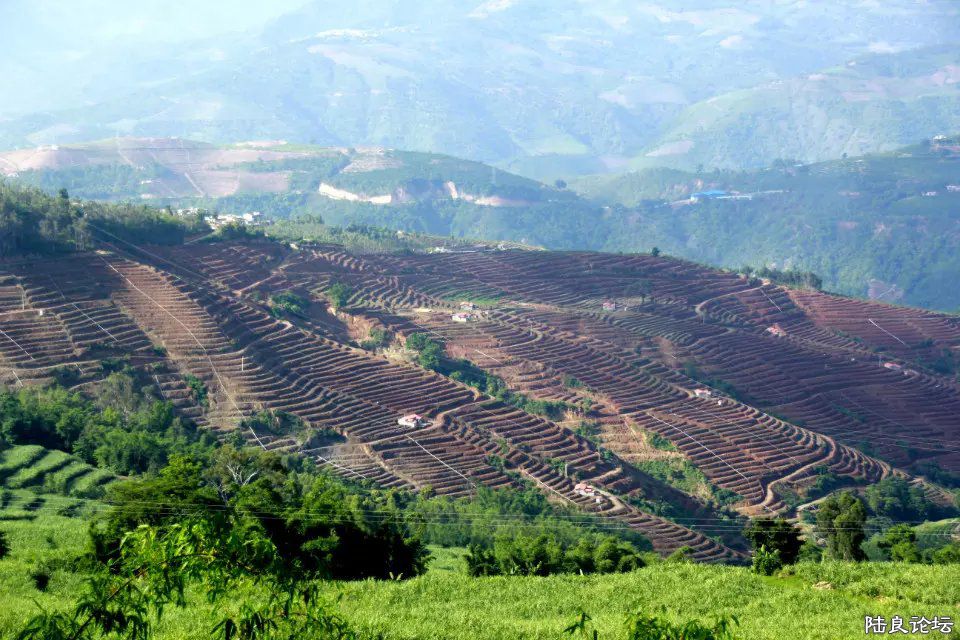 �ͼ�����