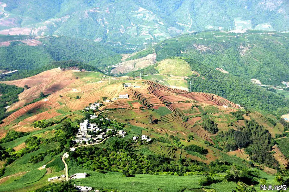 �ͼ�����