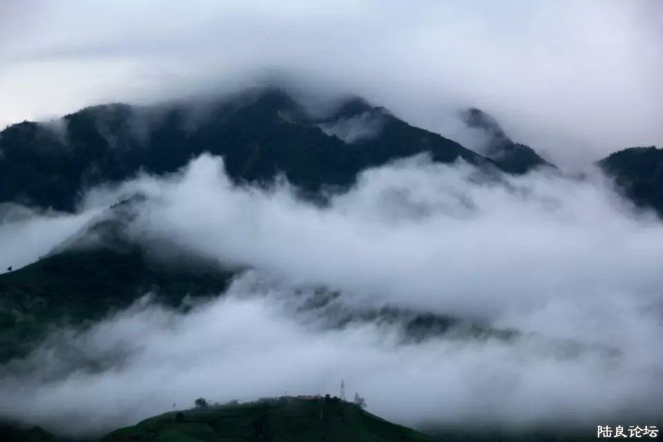 ɽ������