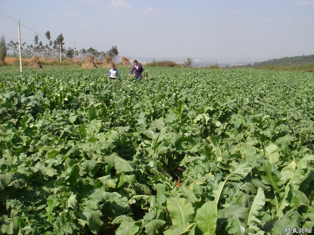 ½���ش�Ī��������������