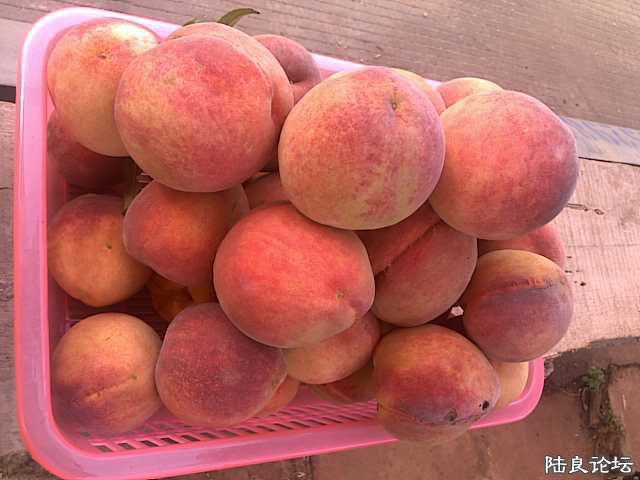 ½���ش�Ī����������ĸ��ɽ