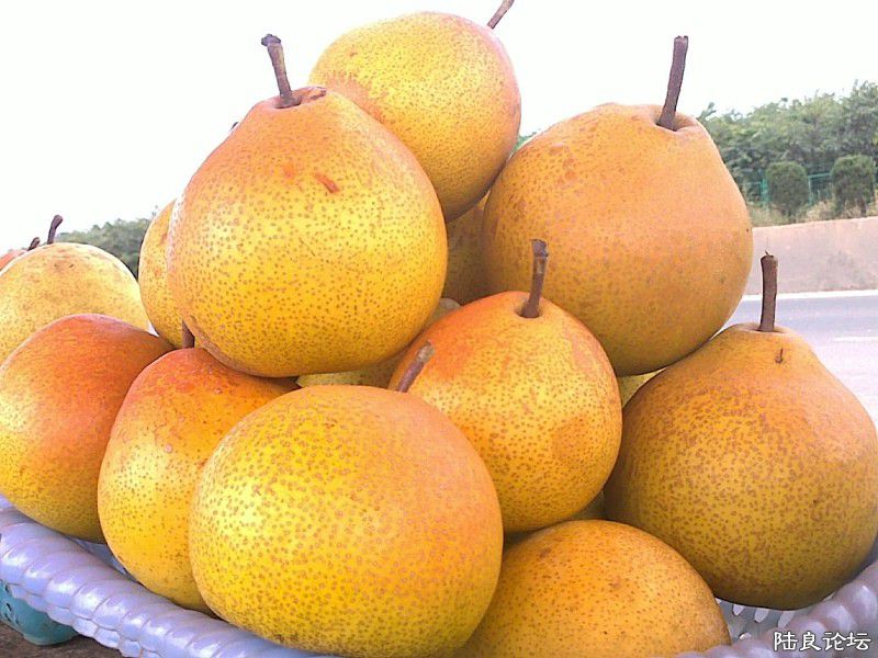 ½���ش�Ī����������������