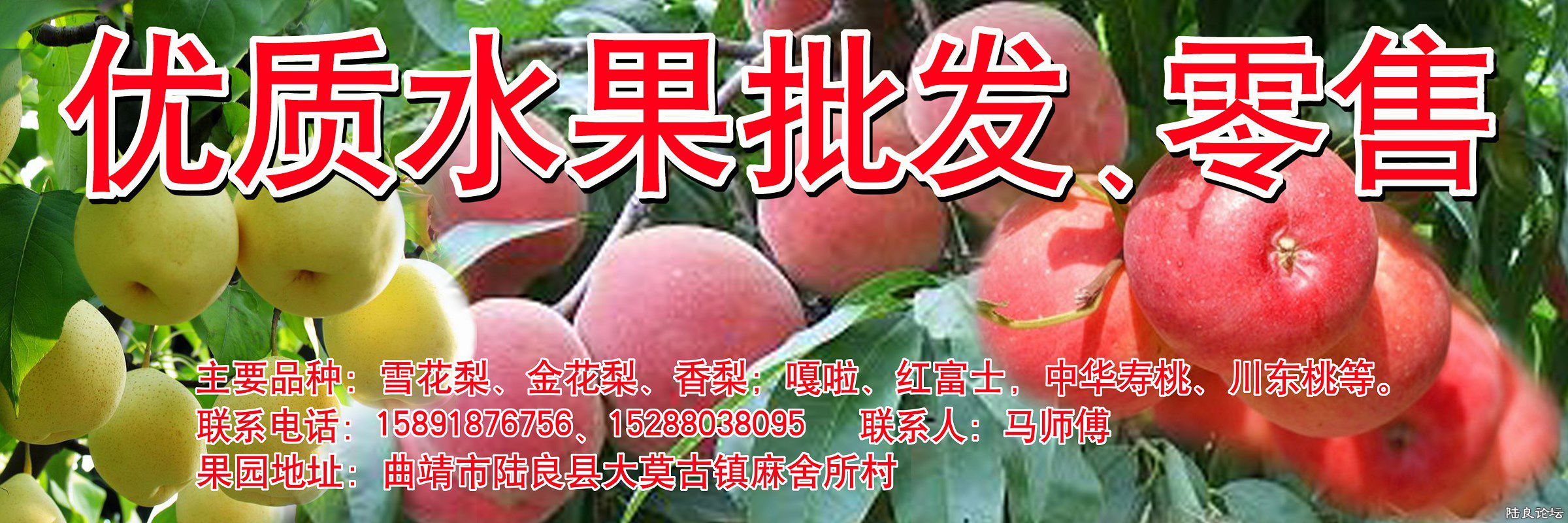 ½���ش�Ī����������ˮ������