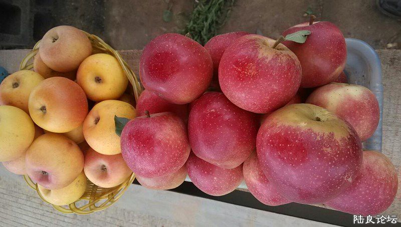 ˮ������½���ش�Ī����������