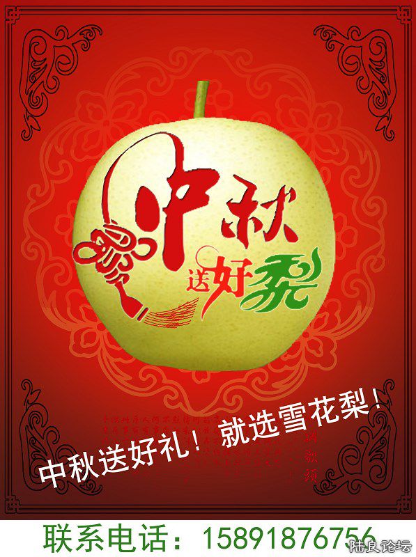 ½��ѩ������С��