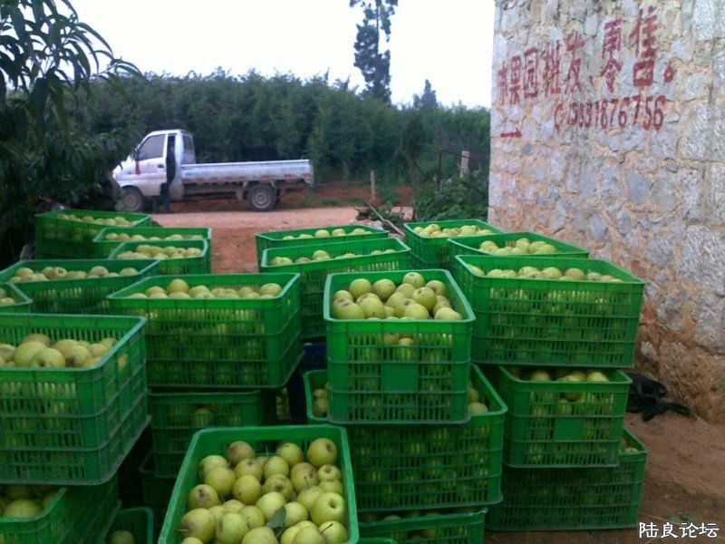 ½���ش�Ī����ˮ����������