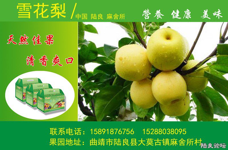 ½��ˮ����Ƭ