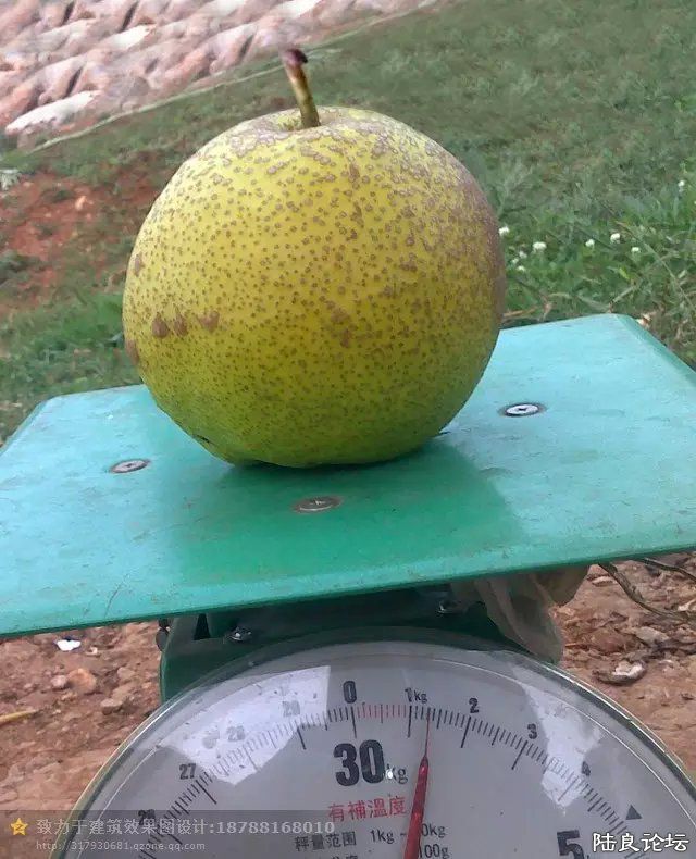 ½���ش�Ī����������