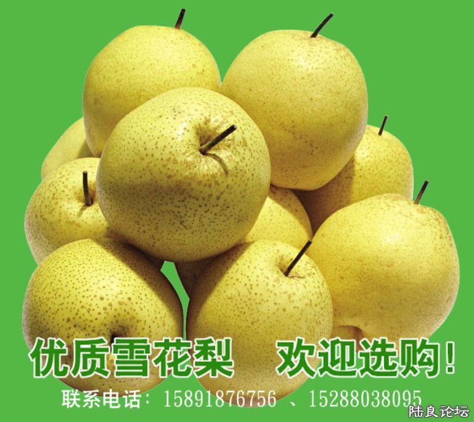 ½���ش�Ī����������