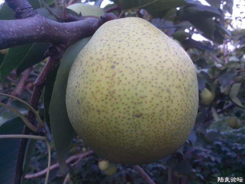 ����ʡ������½���ش�Ī������������ˮ��֮��