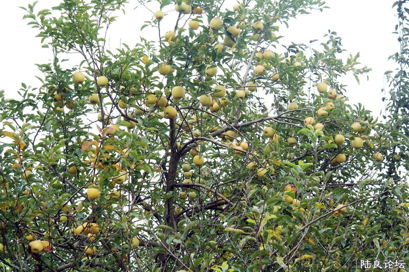 ����ʡ������½���ش�Ī������������ˮ��֮�磨��С��