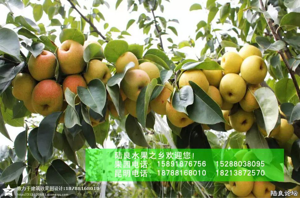 ����ʡ������½���ش�Ī������������ˮ��֮�磨��С��