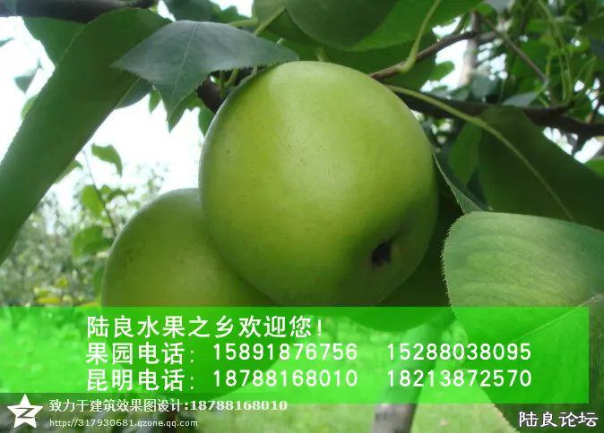 ����ʡ������½���ش�Ī������������ˮ��֮�磨��С��