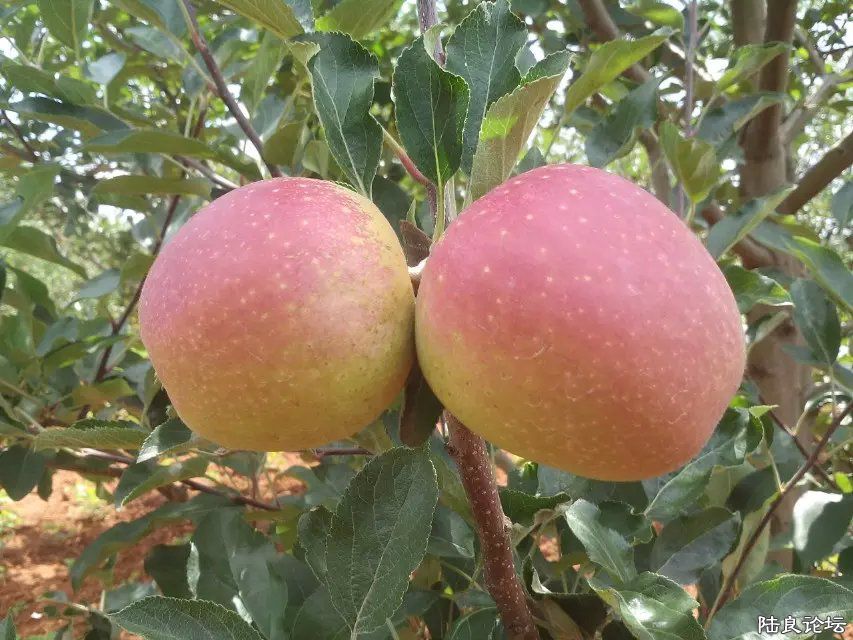 ����ʡ������½���ش�Ī������������ˮ��֮�磨��С��