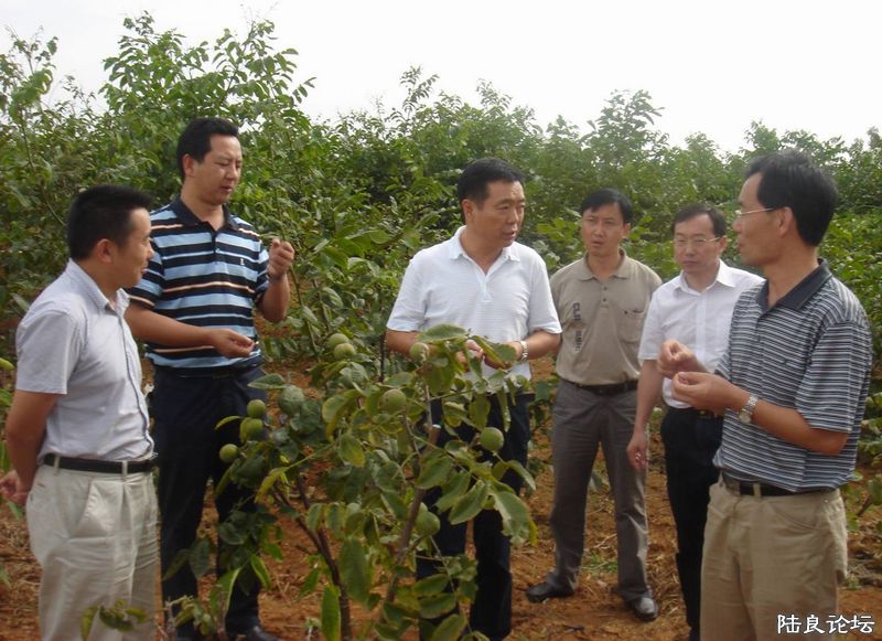 ����ʡ������½���ش�Ī������������ˮ��֮�磨��С��