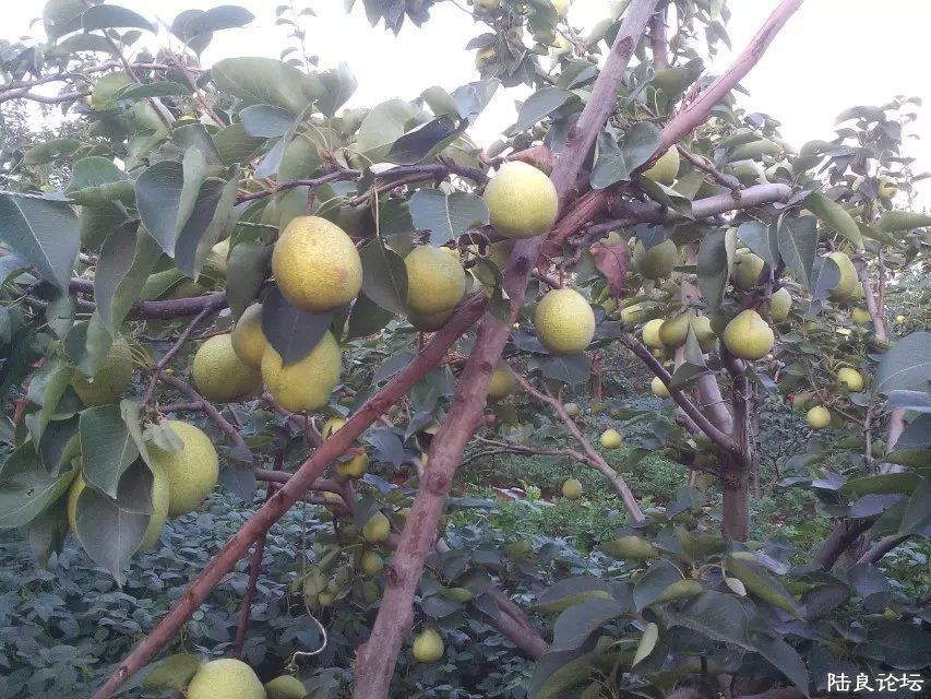 ����ʡ������½���ش�Ī������������ˮ��֮�磨��С��