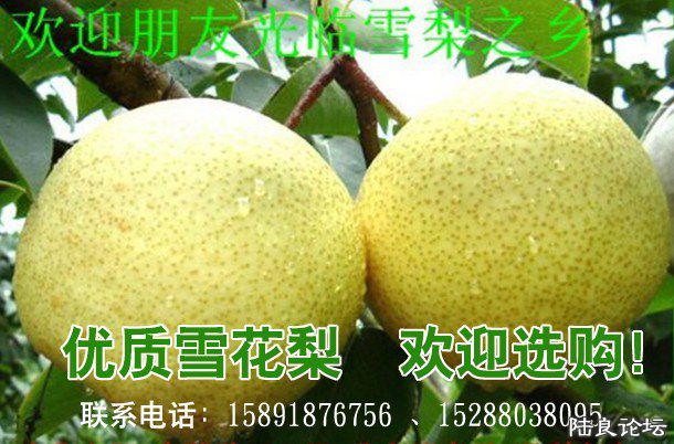 ����ʡ������½���ش�Ī������������ˮ��֮�磨��С��