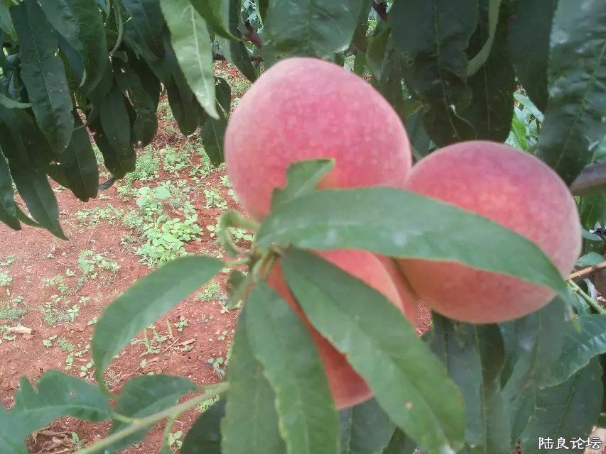 ����ʡ������½���ش�Ī������������ˮ��֮�磨��С��