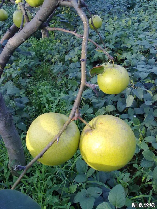 ����ʡ������½���ش�Ī������������ˮ��֮�磨��С��