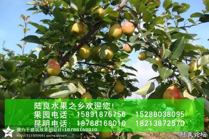 ����ʡ������½���ش�Ī������������ˮ��֮�磨��С��