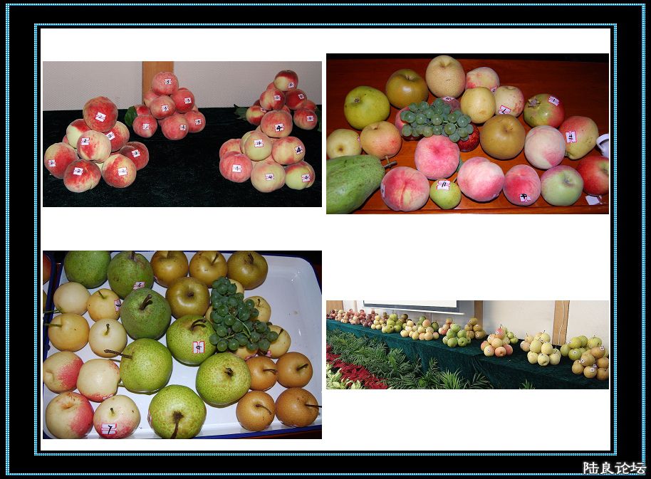 ����ʡ������½���ش�Ī������������ˮ��֮�磨��С��