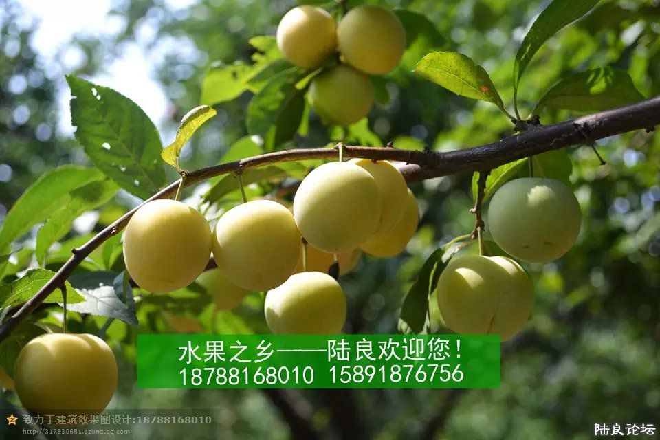 ����ʡ������½���ش�Ī������������ˮ��֮�磨��С��