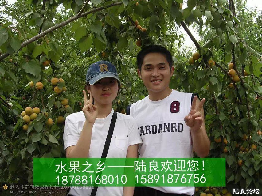 ����ʡ������½���ش�Ī������������ˮ��֮�磨��С��