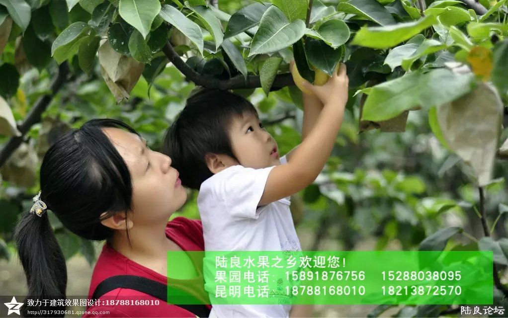 ����ʡ������½���ش�Ī������������ˮ��֮�磨��С��