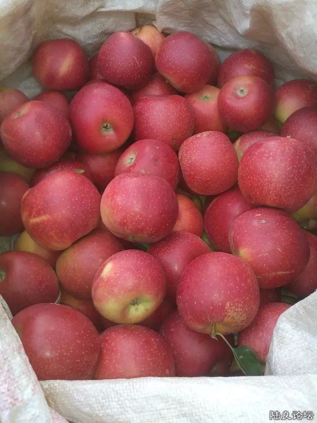 ����ʡ������½���ش�Ī������������ˮ��֮�磨��С��