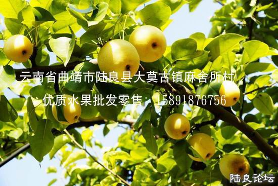 ����ʡ������½���ش�Ī������������ˮ��֮�磨��С��