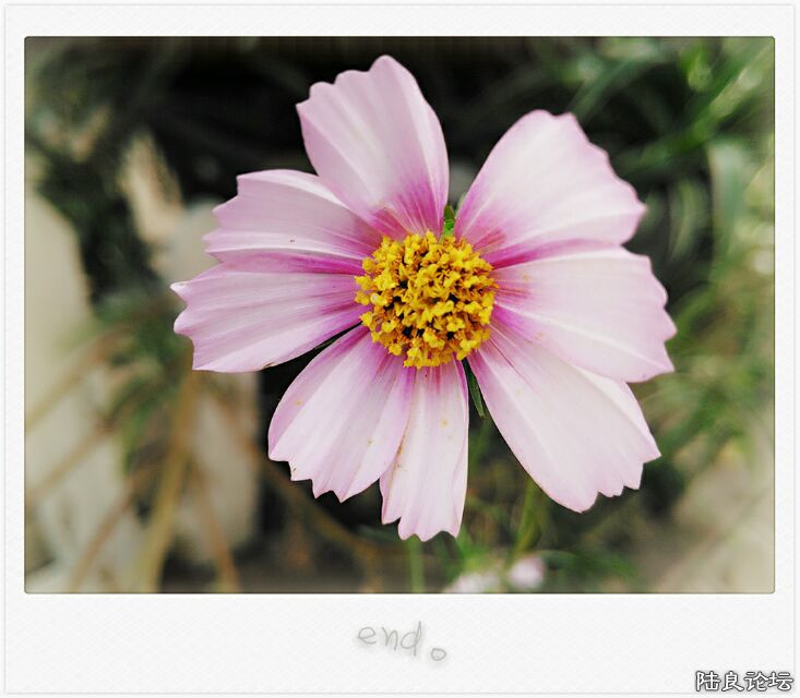 ��ȡ��ǰ��~