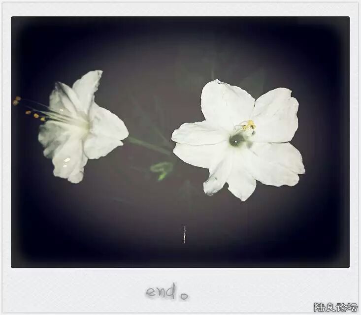 ��Թ�Ĺ���~