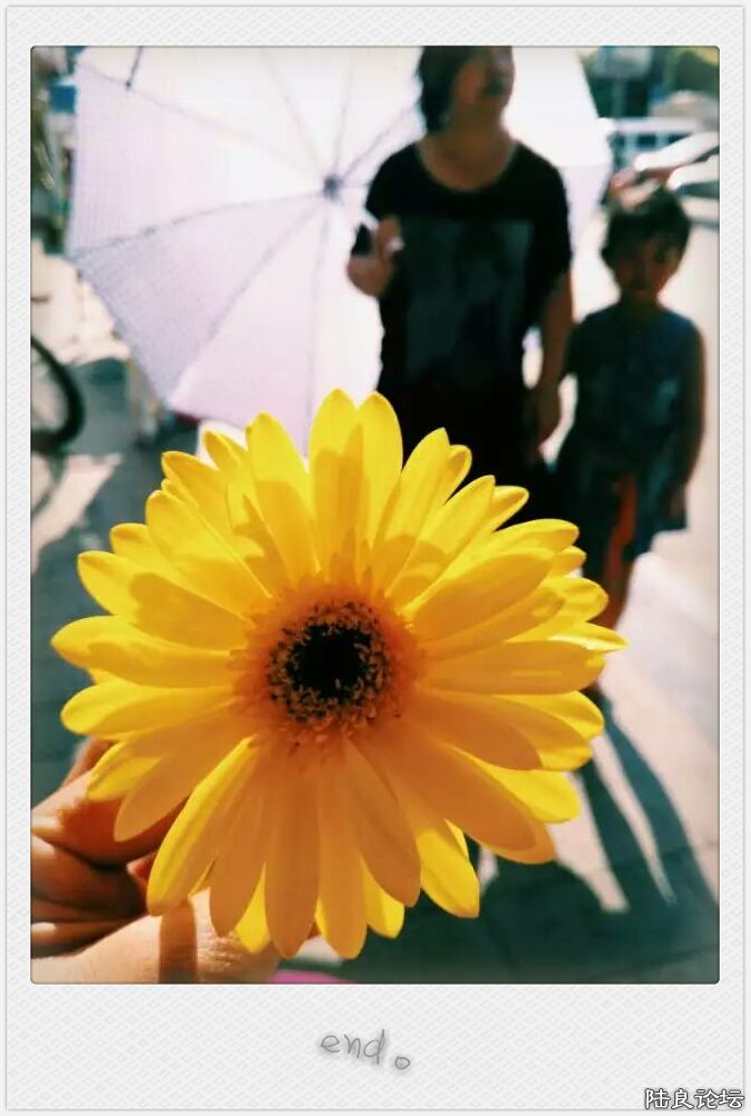 ������������η����~