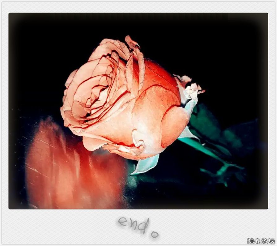 �ò�������Զ��ɧ��~