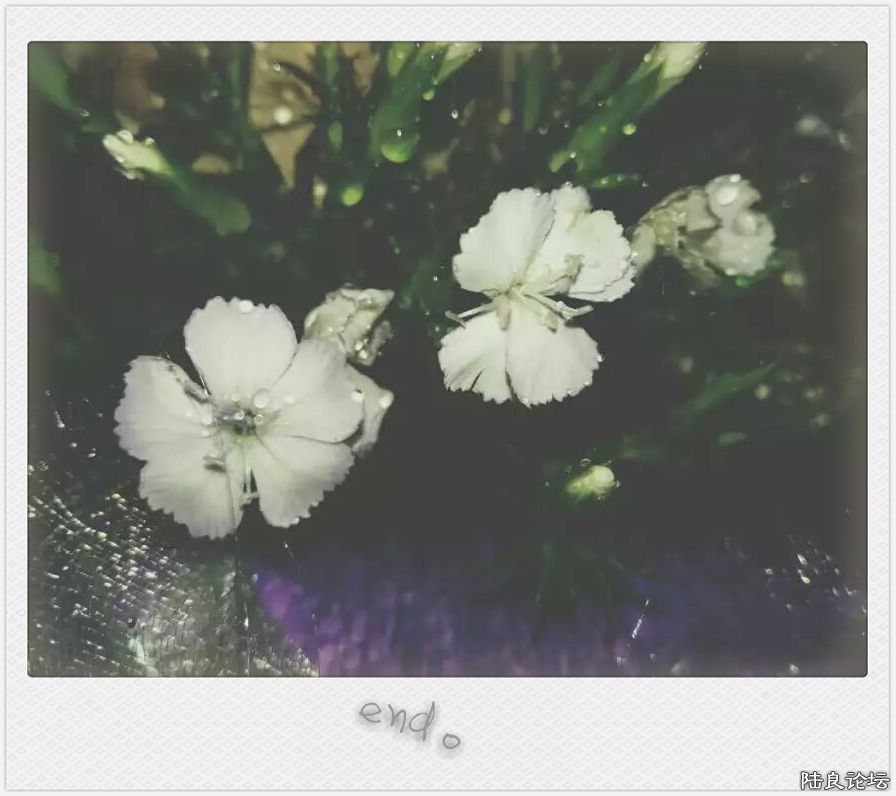 ����ʢ�����������~