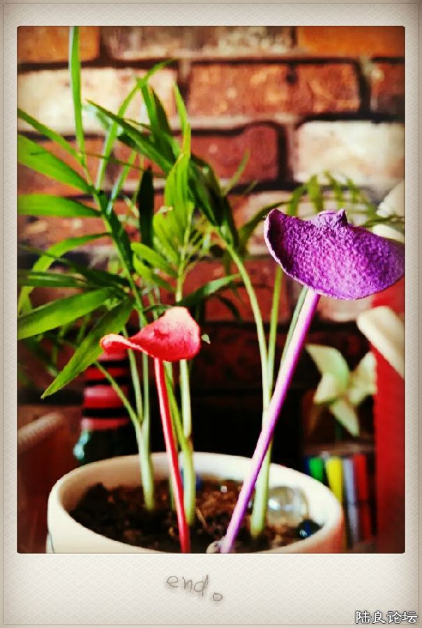 ����֪�㣬���������Ƿ羰~