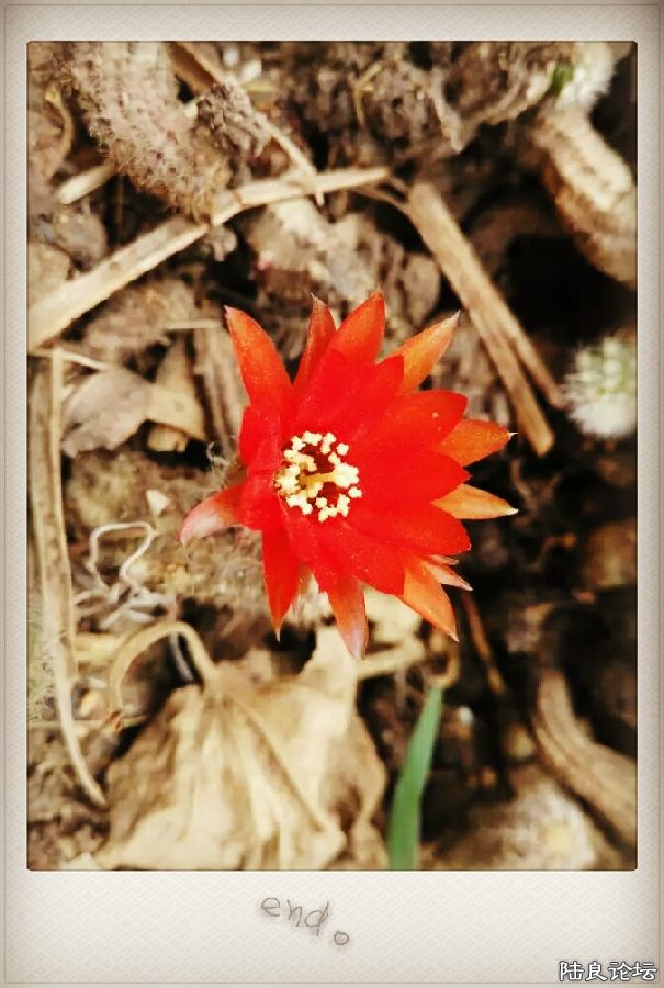 ����ǿ�����˼�̤~