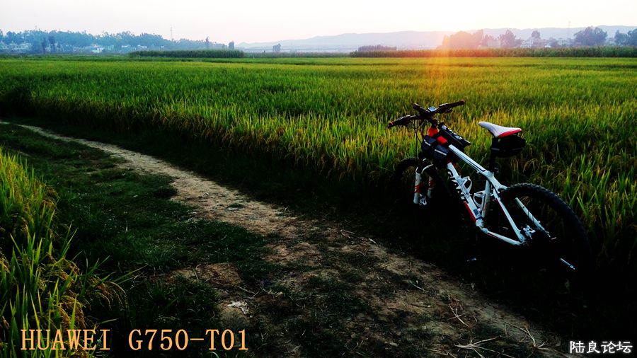 ���� (1).jpg