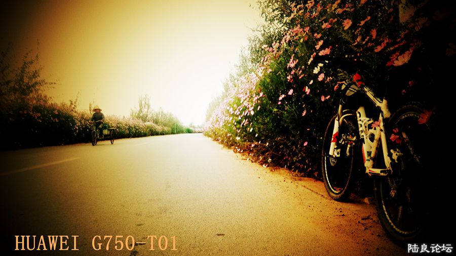 ���� (2).jpg